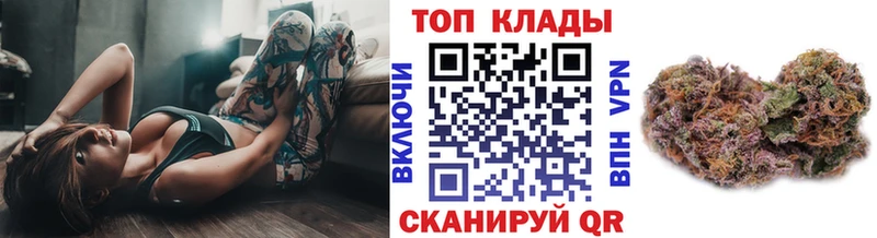 Где продают наркотики Петропавловск-Камчатский Канабис  A PVP  КОКАИН  Гашиш  Галлюциногенные грибы  Мефедрон 