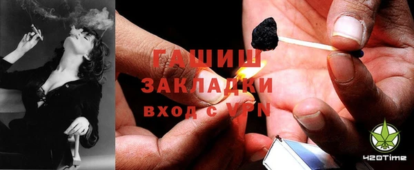 прущая мука Вяземский