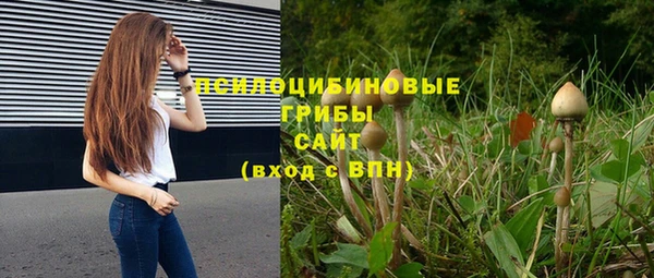 дурь Вязники