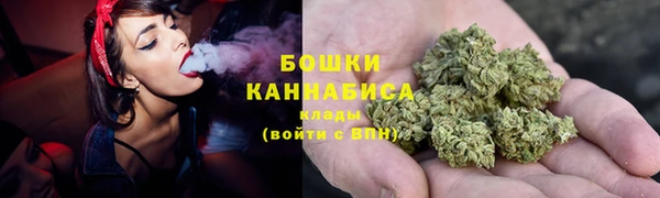 ГАЛЛЮЦИНОГЕННЫЕ ГРИБЫ Вязьма