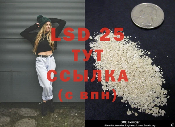 прущая мука Вяземский
