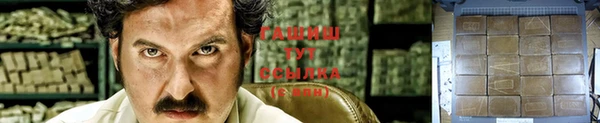 ГАЛЛЮЦИНОГЕННЫЕ ГРИБЫ Вязьма
