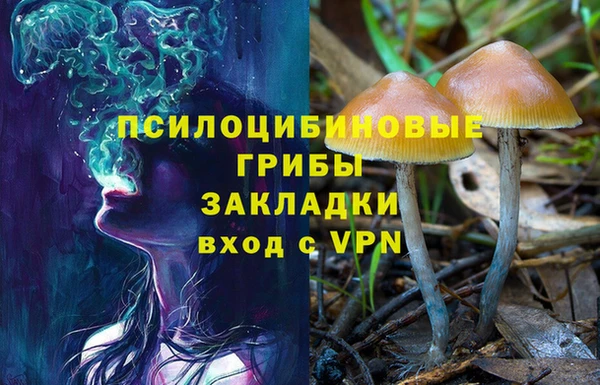 дурь Вязники