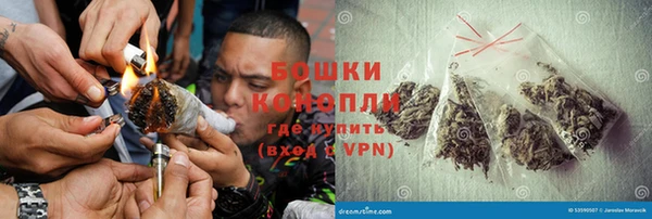 прущая мука Вяземский