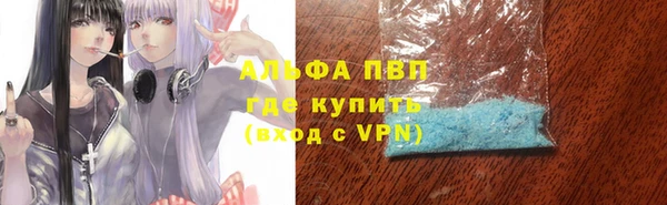 прущая мука Вяземский