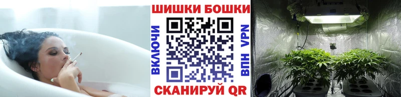 сколько стоит  Петропавловск-Камчатский  Шишки марихуана семена 